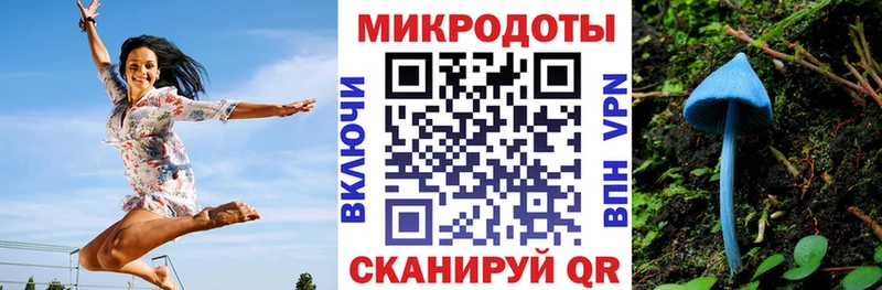 Псилоцибиновые грибы Psilocybine cubensis дарнет шоп Волоколамск