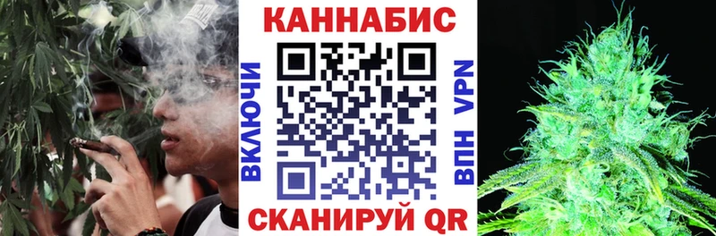 как найти наркотики  Волоколамск  Шишки марихуана SATIVA & INDICA 